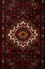 Load image into Gallery viewer, Hossein Abad Runner 488X80cm