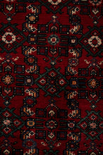 Load image into Gallery viewer, Hossein Abad Runner 480x73cm