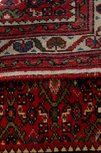 Load image into Gallery viewer, Hossein Abad Runner 483x86cm