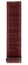 Load image into Gallery viewer, Hossein Abad Runner 695x82cm
