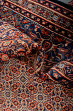 Load image into Gallery viewer, Moud 310x220cm