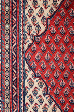 Load image into Gallery viewer, Sarouk Mir 306x215cm