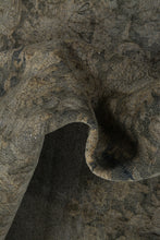 Load image into Gallery viewer, Persian Overdyed 370x268cm