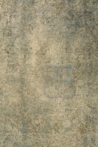 Persian Overdyed 501x339cm