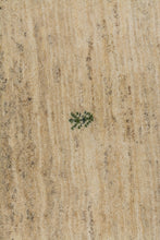 Load image into Gallery viewer, Persian Gabbeh 295x208cm
