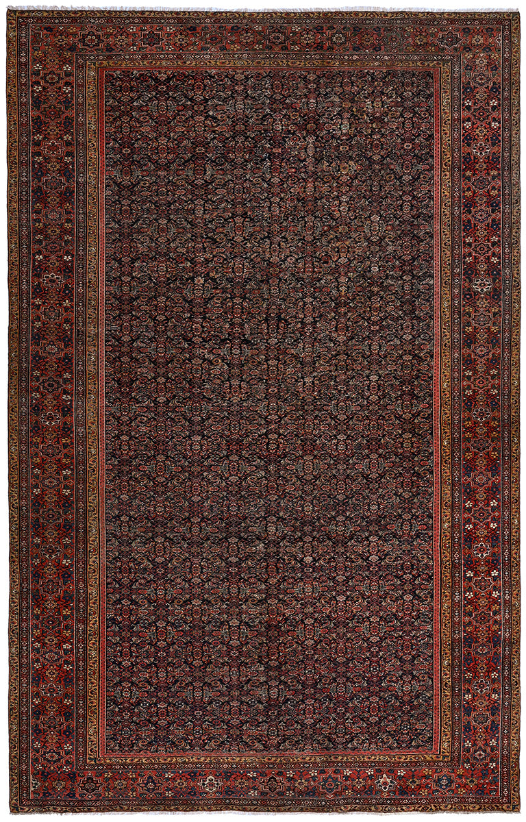 Antique Persian Farahan 535x355cm