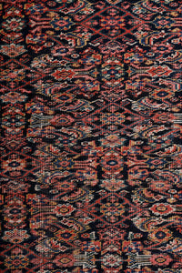 Antique Persian Farahan 535x355cm