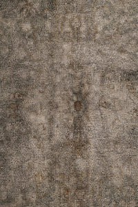 Persian Overdyed 498x332cm