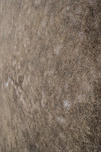 Load image into Gallery viewer, Persian Overdyed 587x342cm